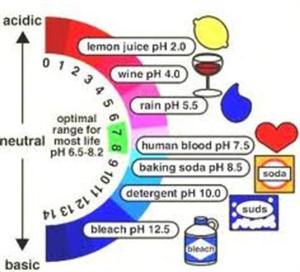acid 